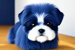 Want to learn all about the rare blue Shih Tzu dog? Look no further, because we've got everything you need to know about these unique beautiful dogs!
