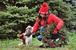 Find the perfect gift for the Shih Tzu lovers in your life. Here are some great gift ideas, quirky, fun or practical that bring joy to dog lovers everywhere