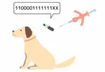 The microchip's purpose is to serve as a permanent ID for a lost or stolen dog. In addition, it enables a veterinarian or shelter to scan and contact the owners