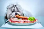 A raw dog food diet is a food that is high in protein and enzymes, low in carbohydrates and fat, and usually meat-based. Here's what you need to know about it