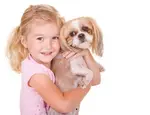 Generally, Shih Tzu are good with kids, however it’s important for kids to understand the proper ways to treat an animal so they can build a good relationship