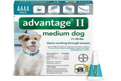 Advantage II flea treatment