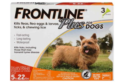 frontline for shih tzu