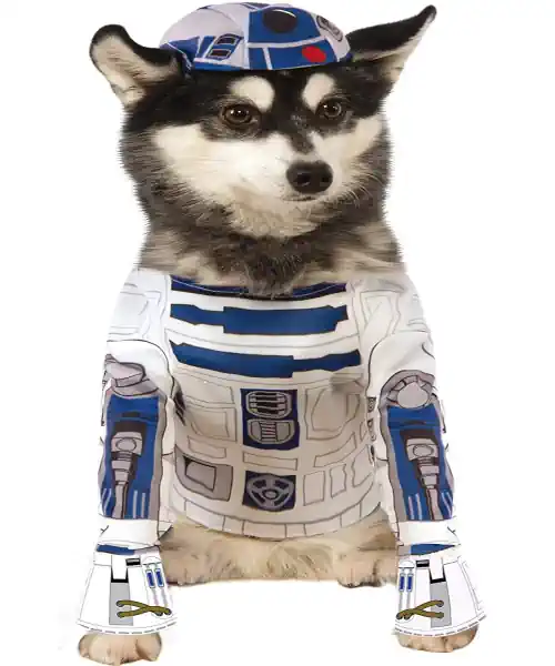 Dog wearing a R2D2 dog costume