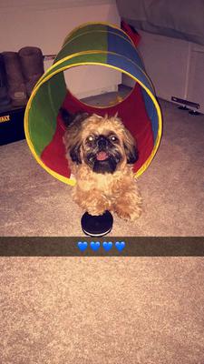 Archie with his Oreo 