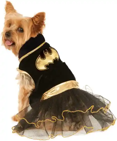 Dog wearing a batgirl dog Halloween  costume