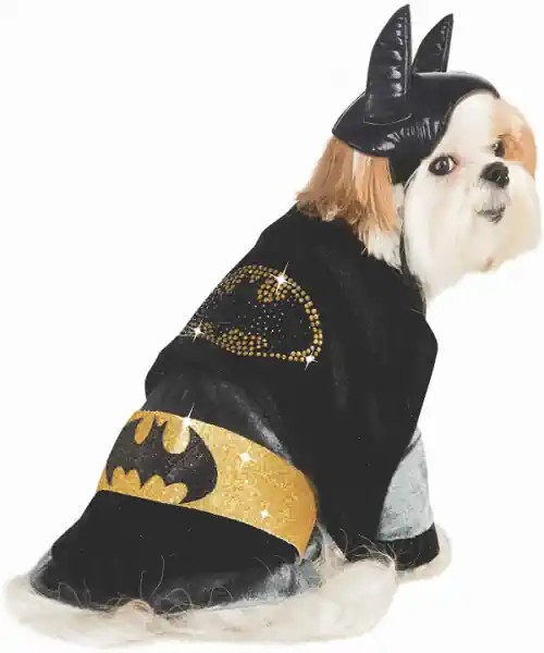 Dog wearing a Batman dog Halloween costume