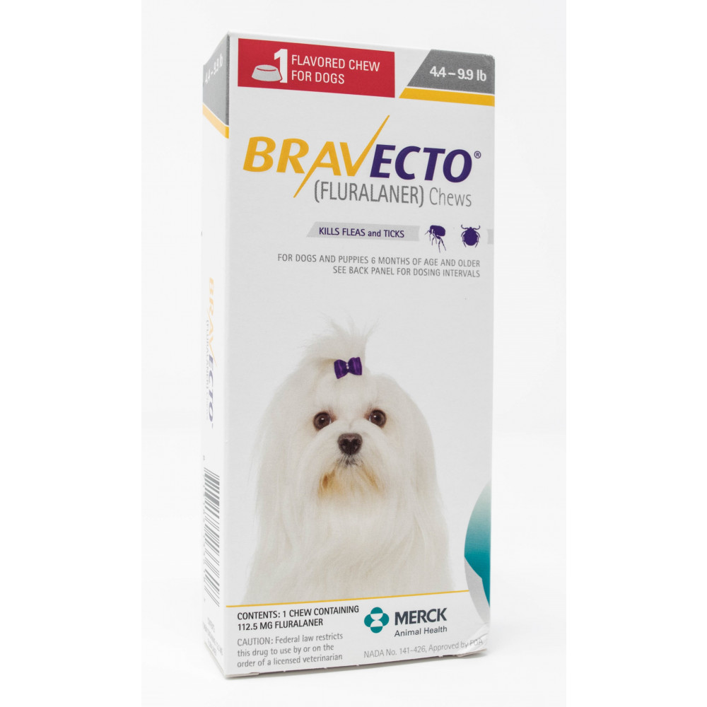 double attachment dog harness