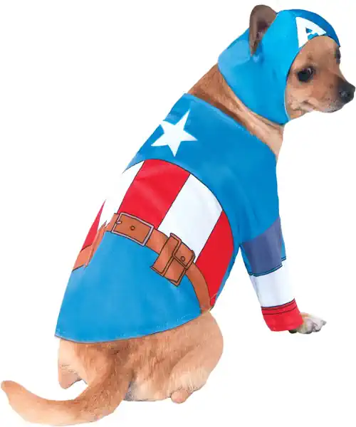 Dog wearing a dog costume Captain America Halloween costume