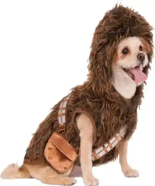 Dog wearing a Chewbacca dog costume