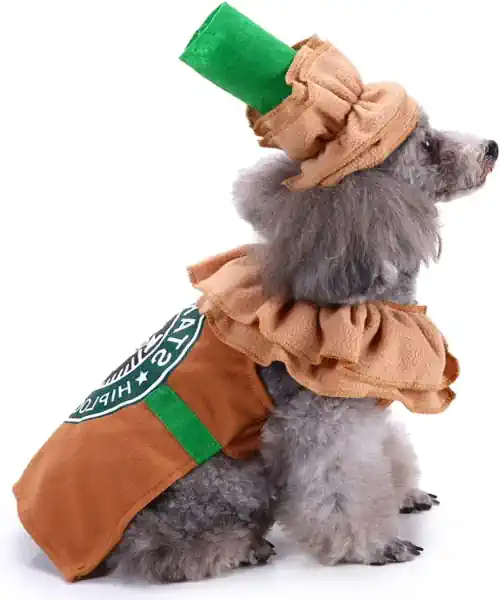Dog wearing a coffee latte dog costume