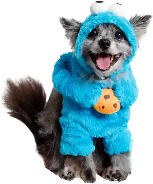 Dog wearing a cookie monster dog costume