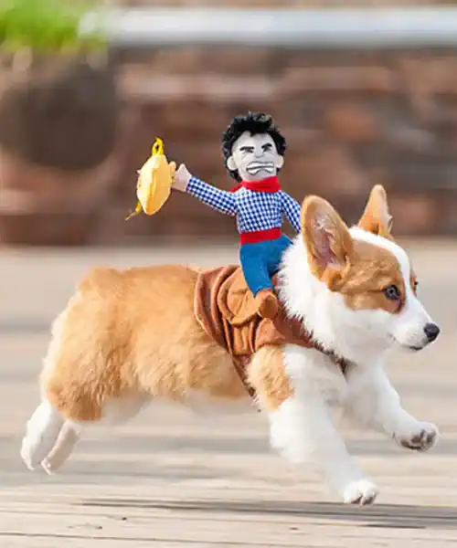 30 Perfect Halloween Costumes for Small Dogs
