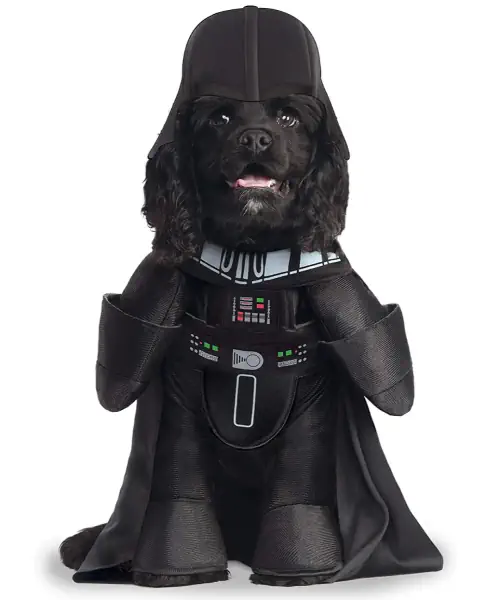 Dog wearing a Darth Vader costume