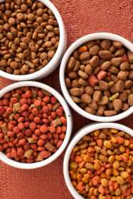 bowls of dog food bowls of dog food