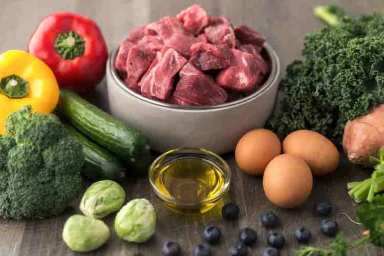 Dog Food Ingredients Explained Know What To Feed Your Dog