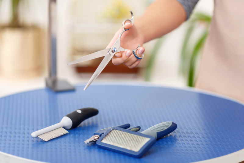 Minimum dog grooming supplies