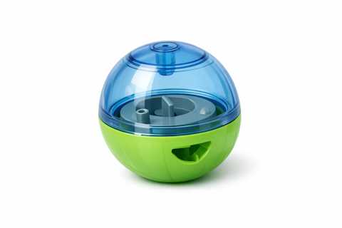 Dog Treat Interactive Ball