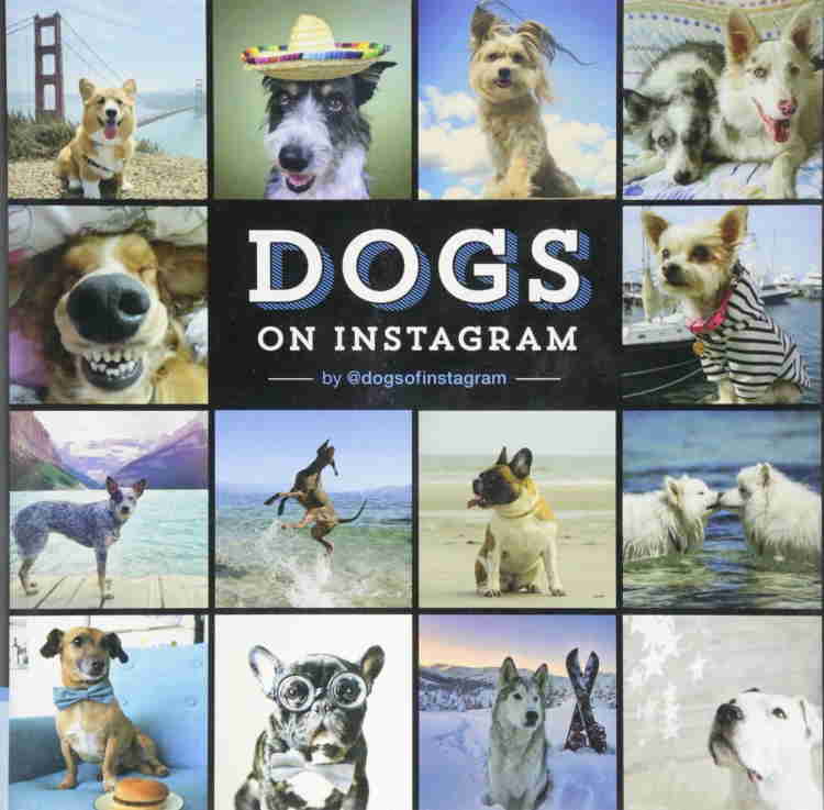 dog book cover