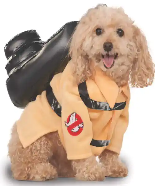 Dog wearing a ghost busters dog costume