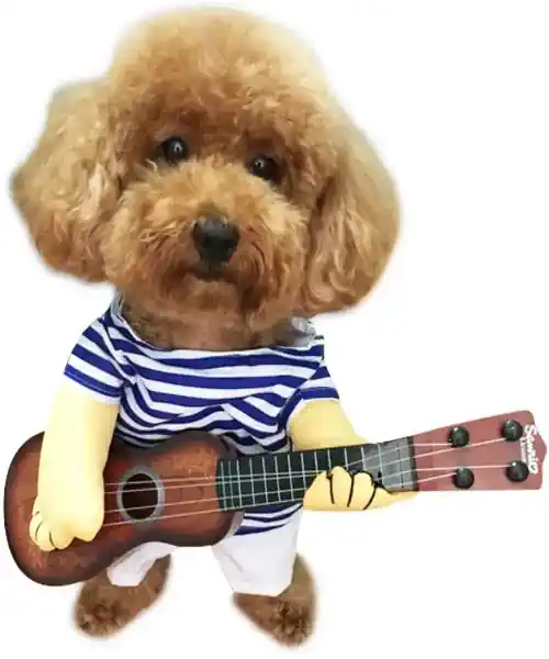 Dog wearing a guitar player dog costume