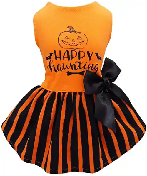 Dog dress with Happy Haunting on a dog costume