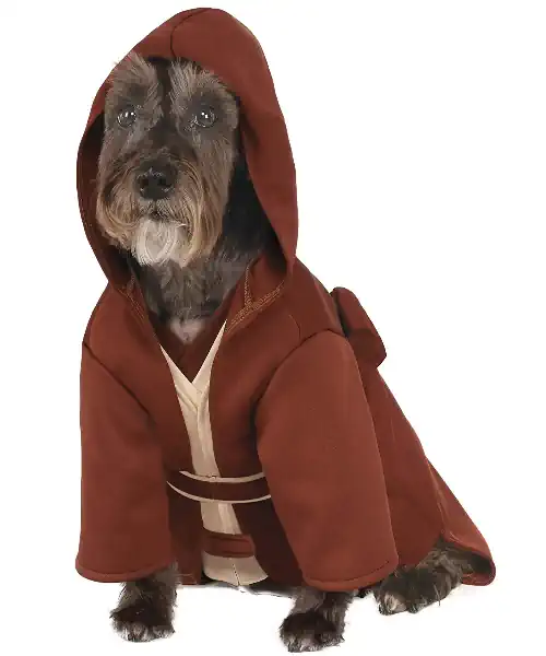 Dog wearing a jedi robe dog costume