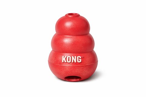 Kong rubber dog chew toy