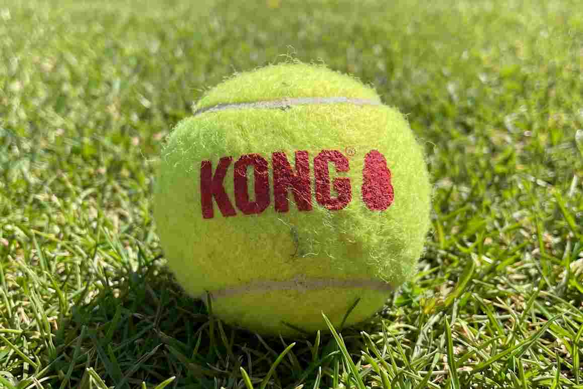 Kong-tennis_ball