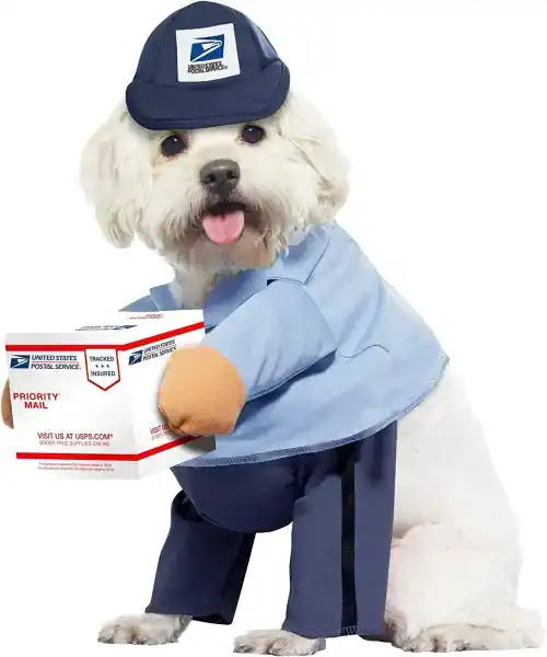 Dog wearing a mail carrier dog costume