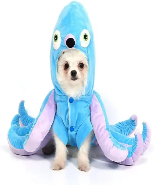 Dog wearing an octopus dog costume