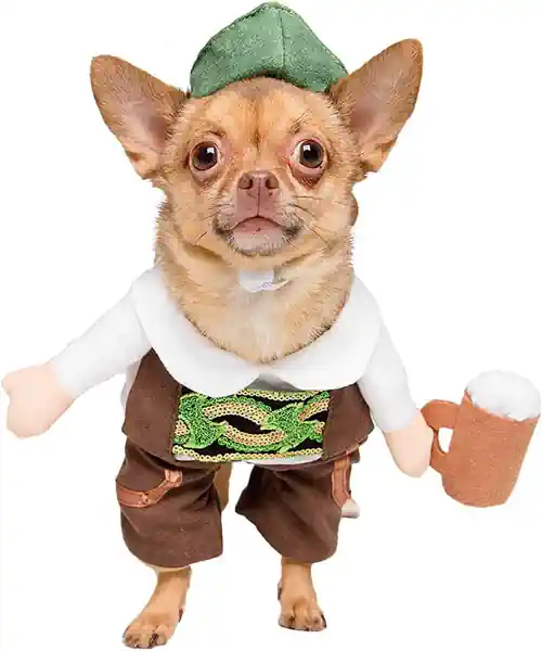 Dog wearing an Oktoberfest dog costume