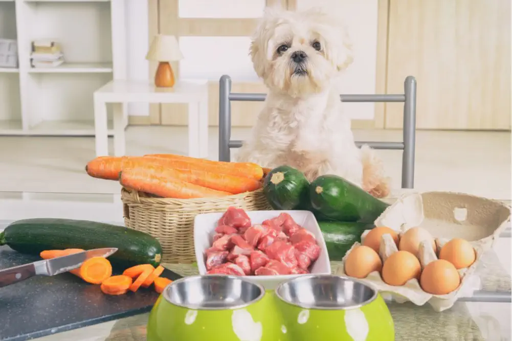 Small white dog in front of variations of raw food