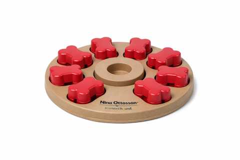 Outward Hound Interactive Dog Toy
