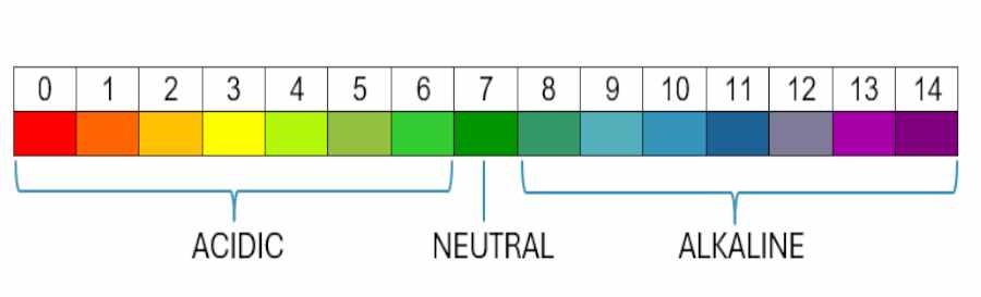 pH Scale dogs skin vs human