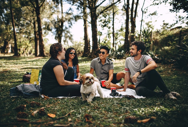 People sitting on the ground talking next to a Shih Tzu People sitting on the ground talking next to a Shih Tzu