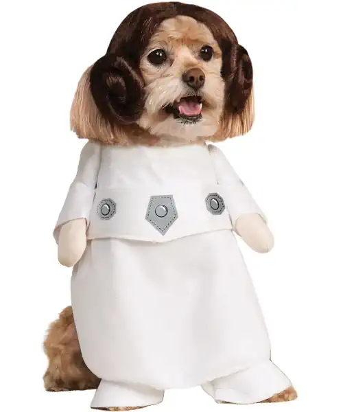 Dog wearing a Princess Leia dog costume