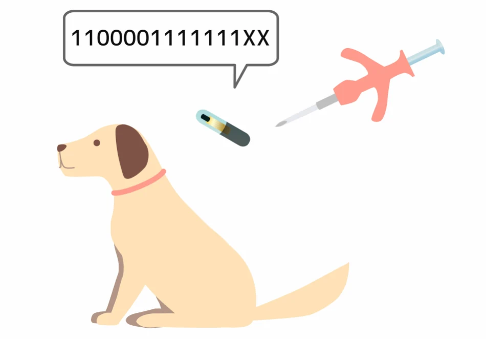The microchip's purpose is to serve as a permanent ID for a lost or stolen dog. In addition, it enables a veterinarian or shelter to scan and contact the owners