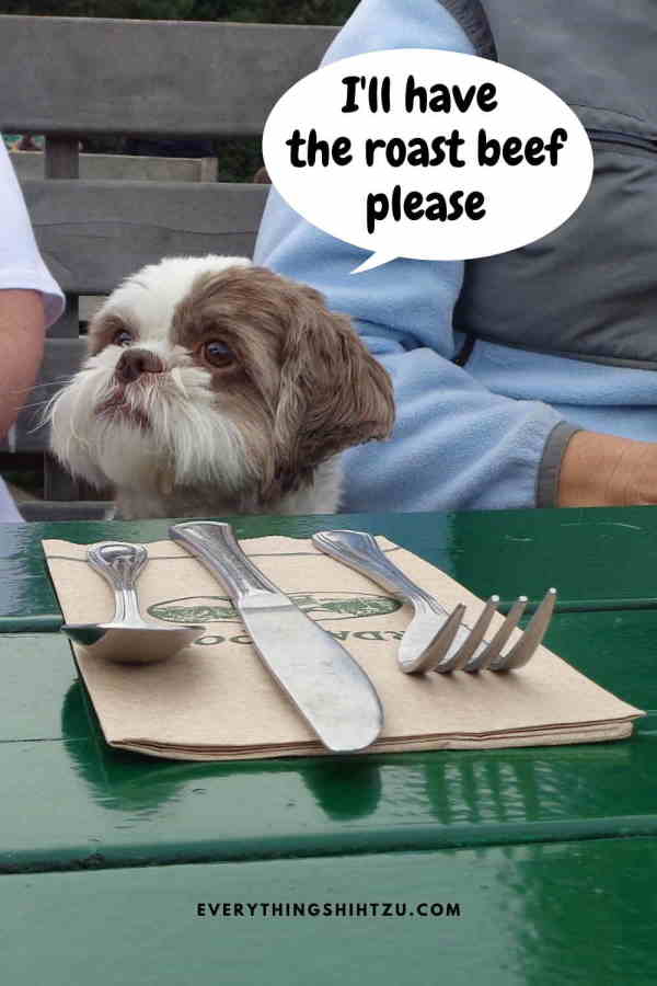 12 Best Dog Foods for Shih Tzu with Allergies