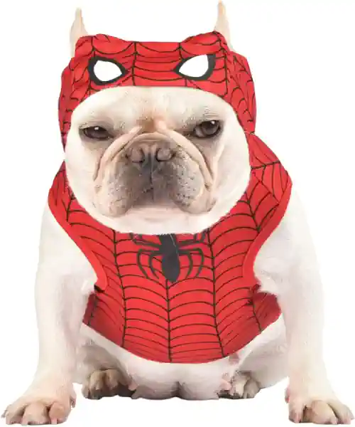 Dog wearing a Spiderman dog Halloween costume