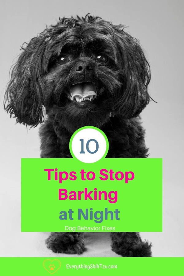 dog barking non stop at night