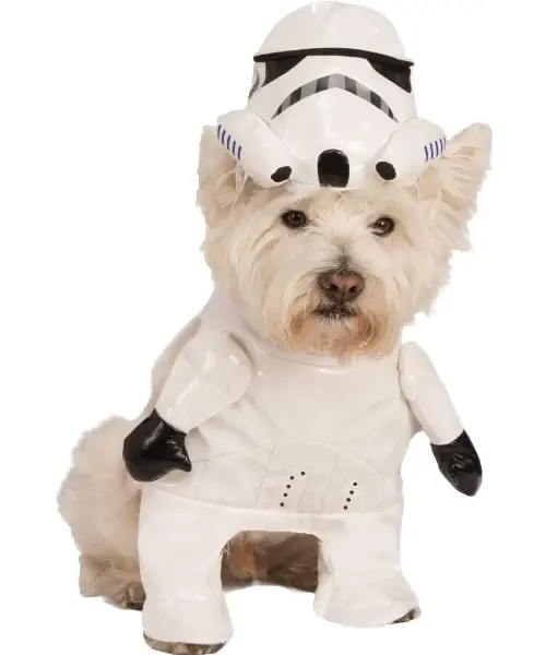 Dog wearing a stormtrooper dog costume