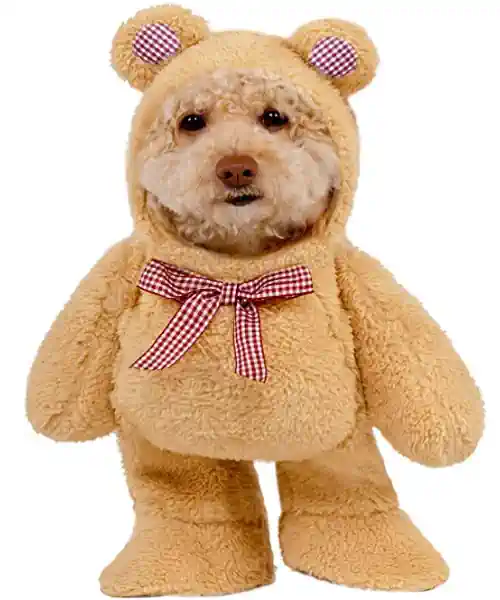 Dog wearing a teddy bear costume