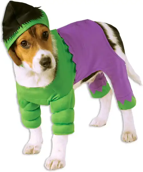 Dog wearing a hulk dog Halloween costume