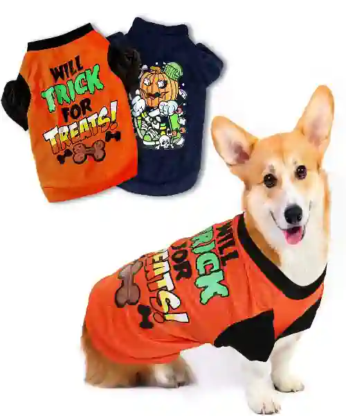 Dog wearing a Trick or Treat dog t-shirt costume