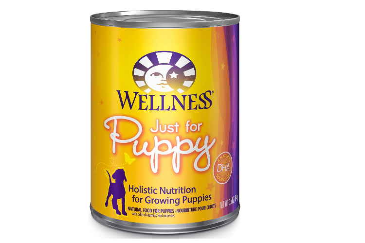 Can of Wellness Puppy food