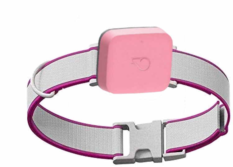 Whistle Go Health location tracker collar for dogs