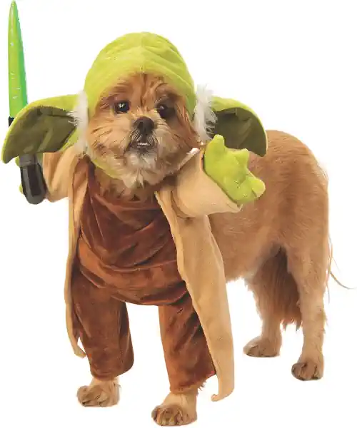 Dog wearing a yoda dog costume